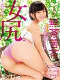 今日已更新585部带星号