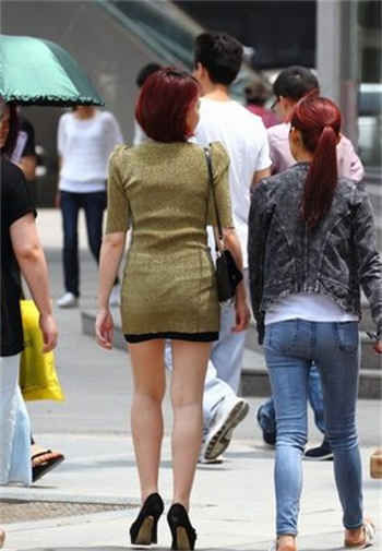 大象秘密入口免费查询