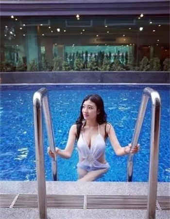狗和狗胶配方的视频高清