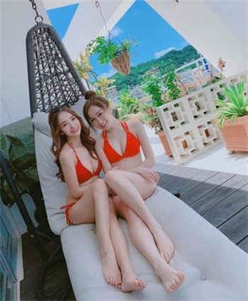 青柠app下载汅