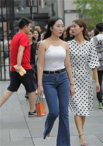 毛驴的乱人生全集阅读
