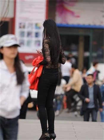 猫咪99找到回家的路1.2