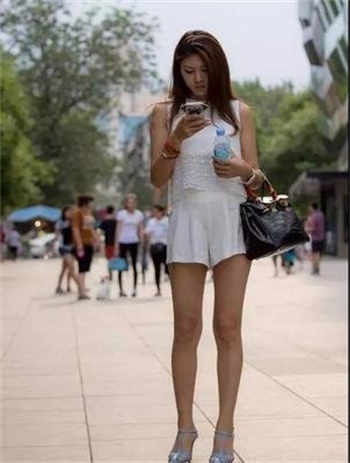 猫咪app免费版最新版