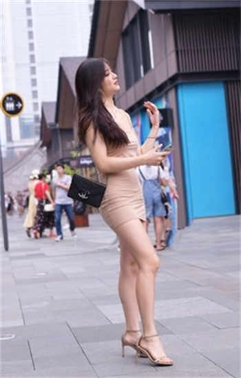房东与房客